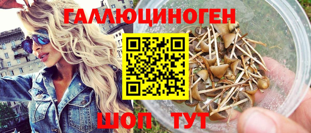 Энгельс  Галлюциногенные грибы GOLDEN TEACHER  Псилоцибиновые грибы мухоморы  Вход с VPN 