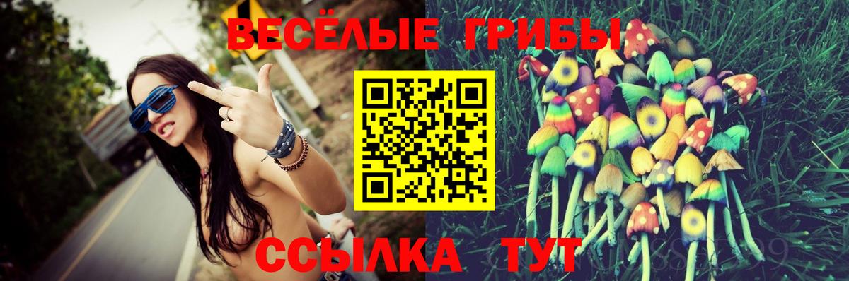 Галлюциногенные грибы мухоморы Энгельс